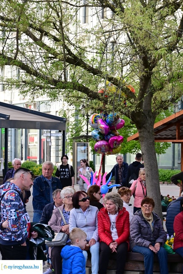 Tavaszi Zsongás 2024