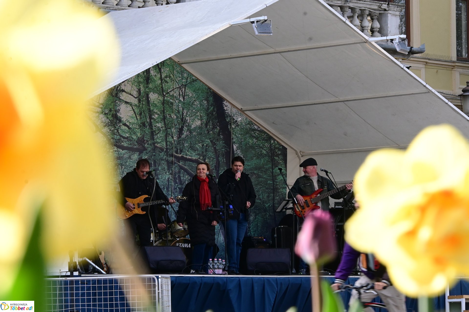 Tavaszi zsongás 2026 - Polip Band koncert a belvárosban