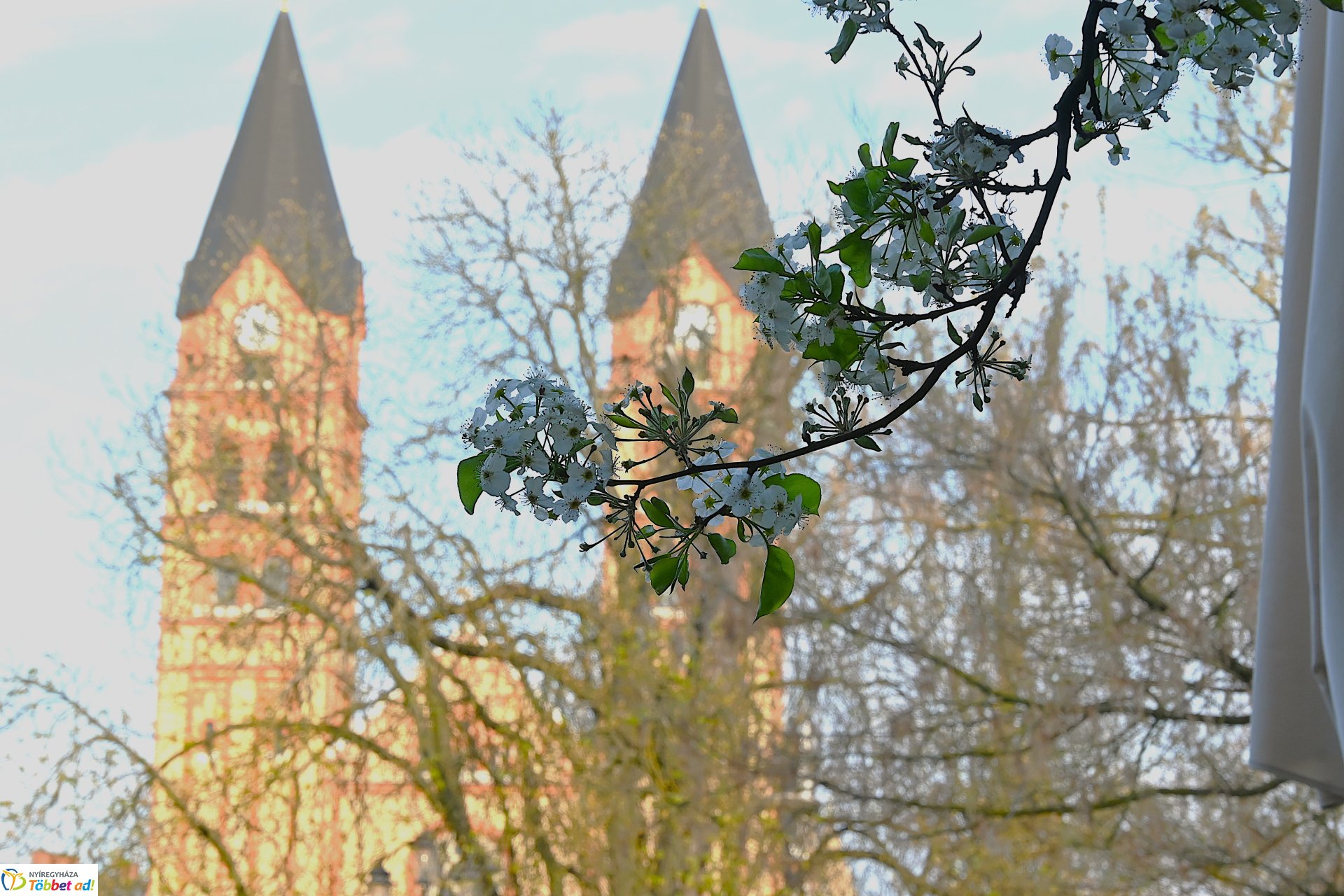 Tavaszi Zsongás a Kossuth téren - Tibi a hegyről koncert 