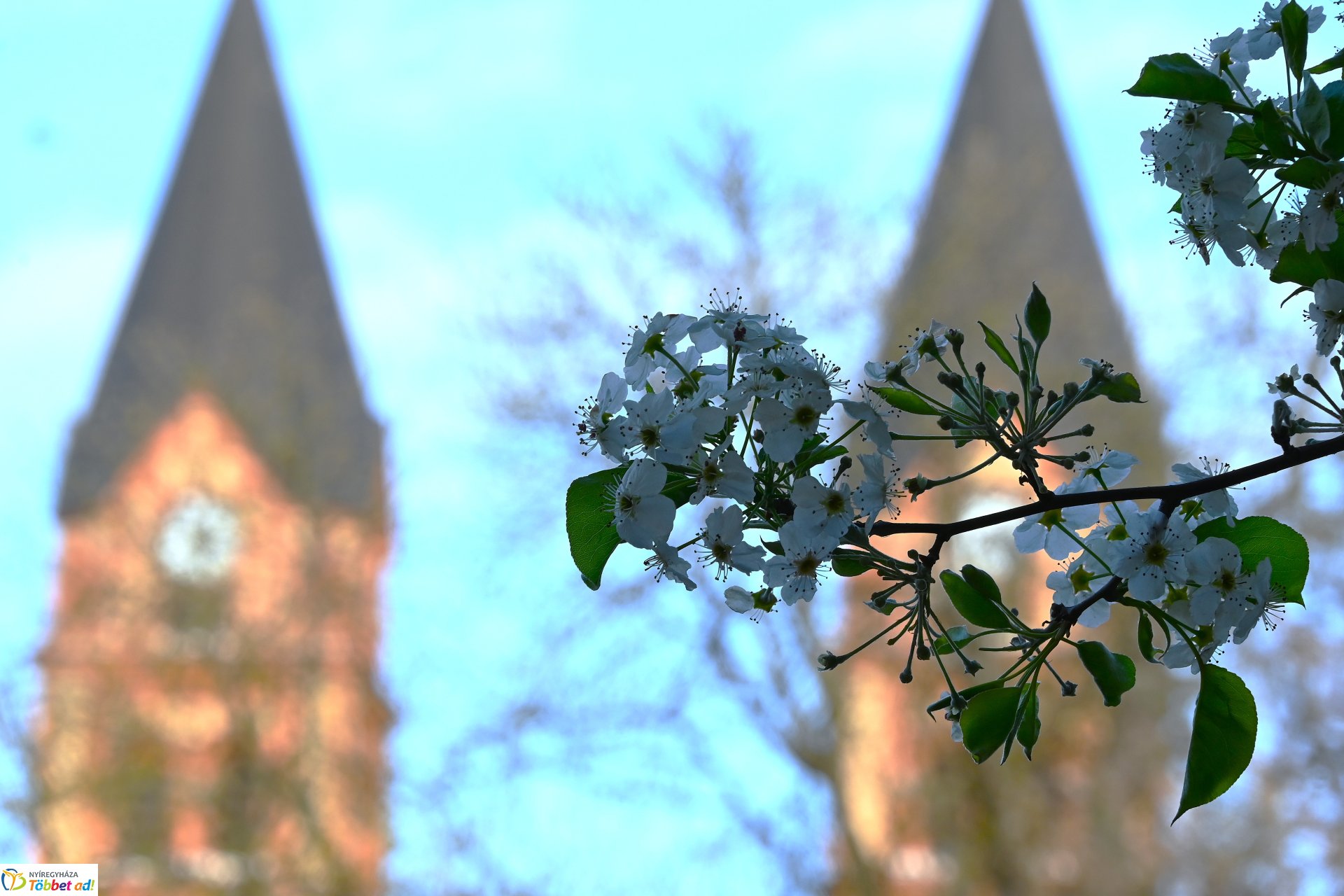 Tavaszi Zsongás a Kossuth téren - Tibi a hegyről koncert 