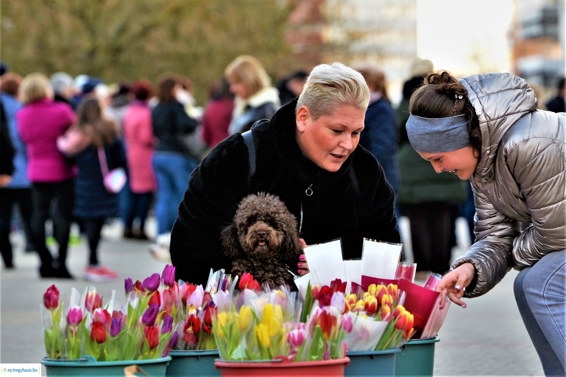 Tavaszi zsongás - Varga Miklós fellépése Nyíregyháza belvárosában