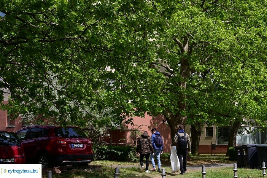 Te szedd az egyetemen is