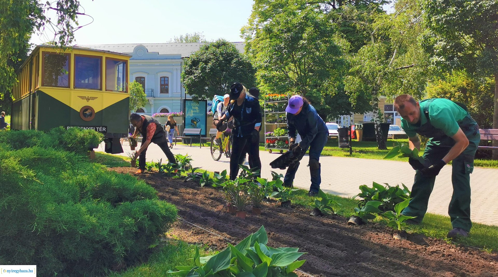 Tegyen Ön is egy sétát a gyönyörű, virágos Nyíregyházán!
