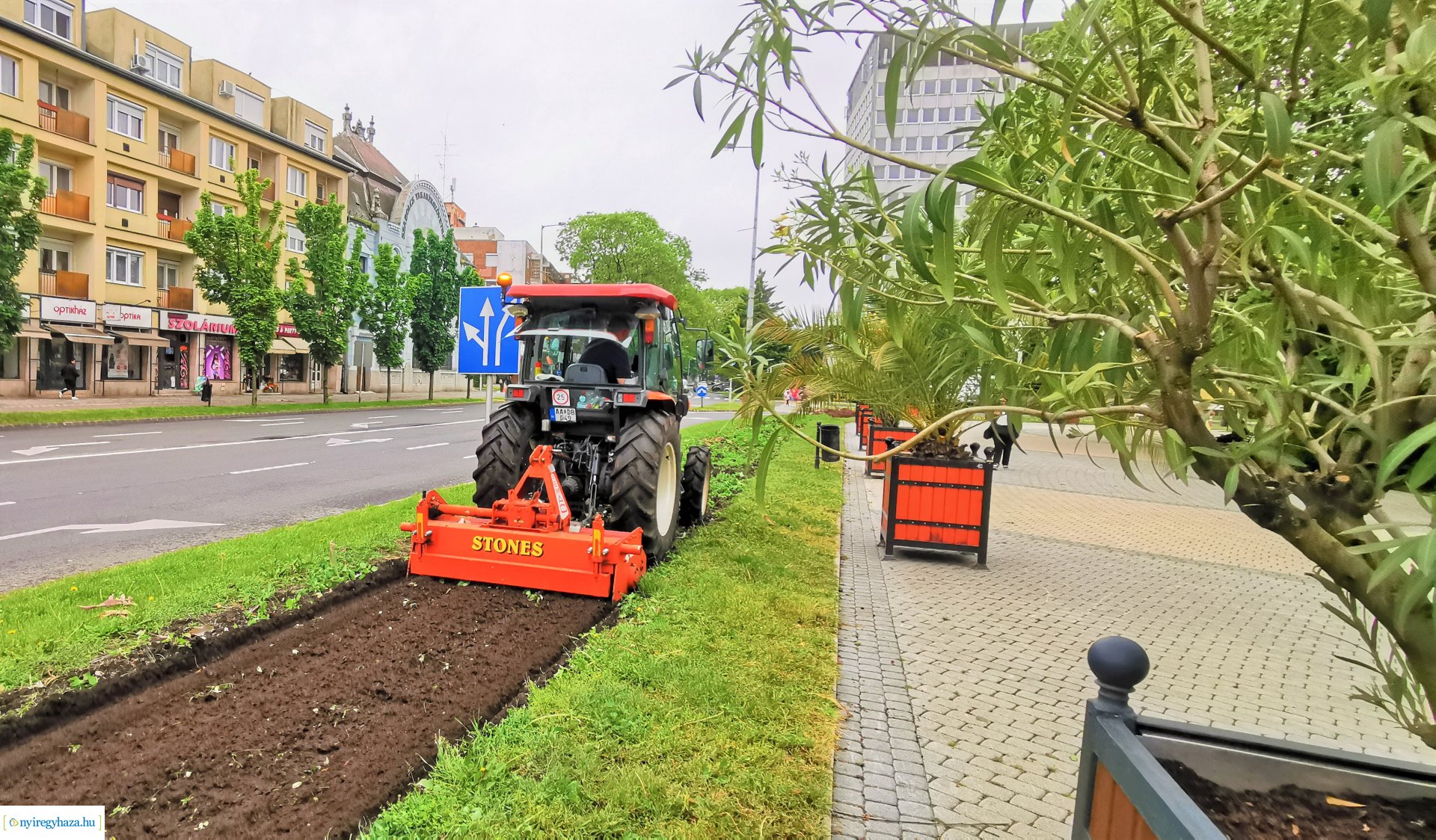 Tegyen Ön is egy sétát a gyönyörű, virágos Nyíregyházán!