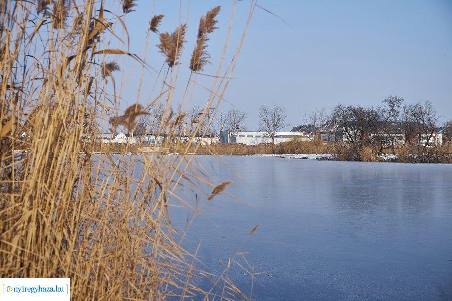Téli csendélet a Bujtoson