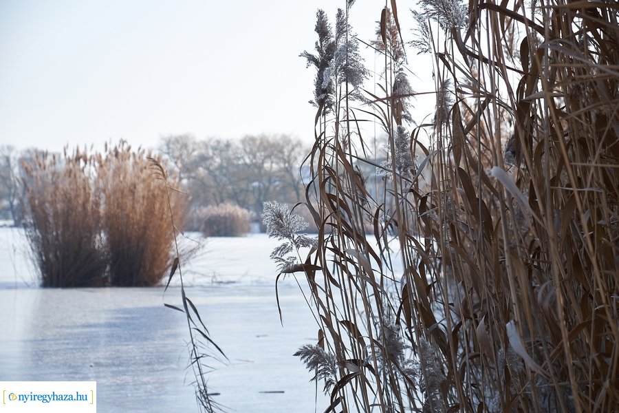 Téli csendélet a Bujtoson