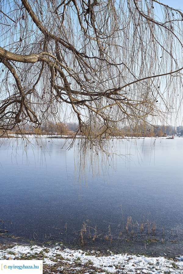 Téli csendélet a Bujtoson