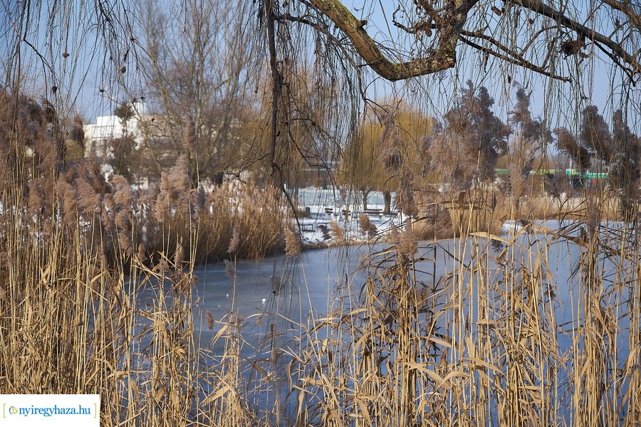 Téli csendélet a Bujtoson