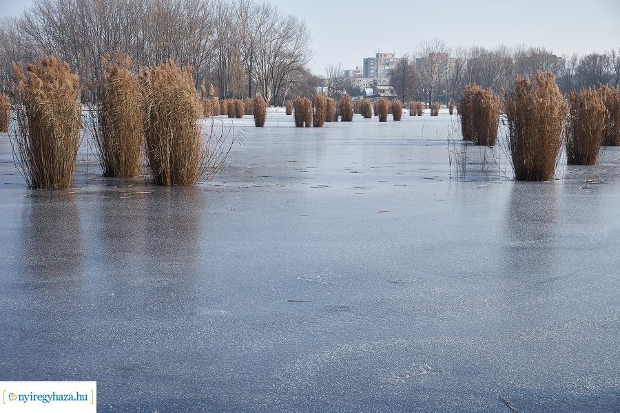 Téli csendélet a Bujtoson