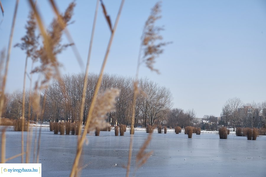 Téli csendélet a Bujtoson