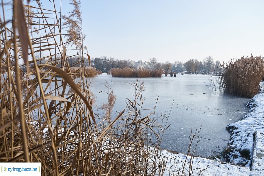 Téli csendélet a Bujtoson