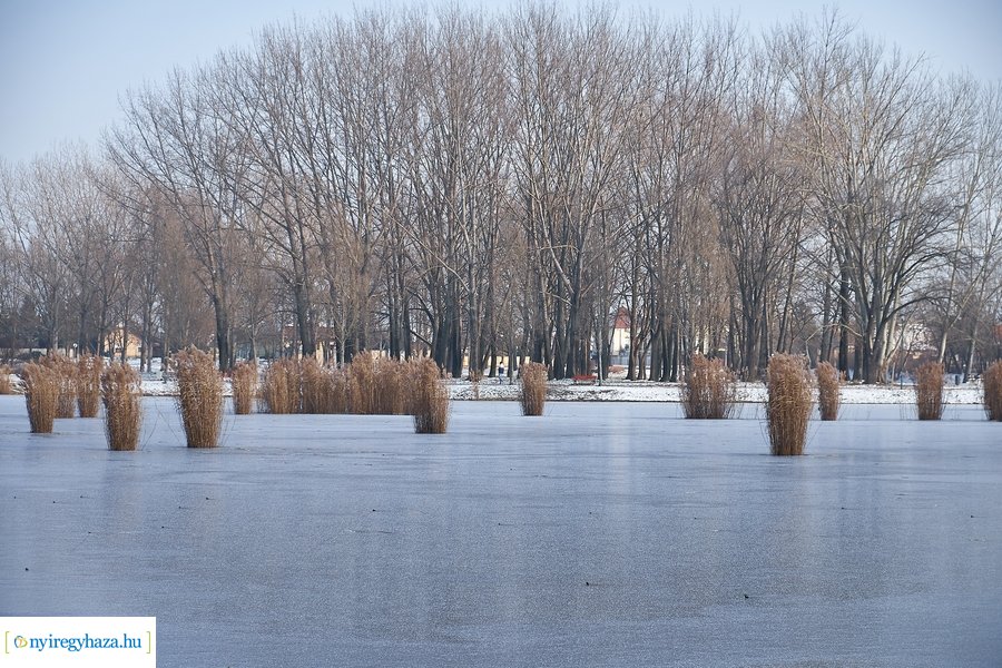 Téli csendélet a Bujtoson