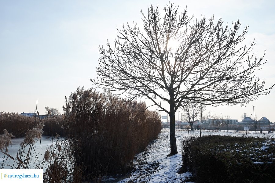 Téli csendélet a Bujtoson