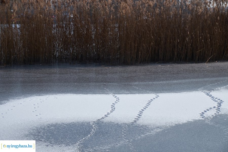 Téli csendélet a Bujtoson