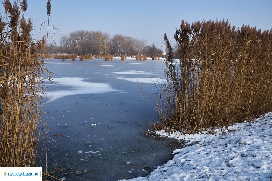 Téli csendélet a Bujtoson