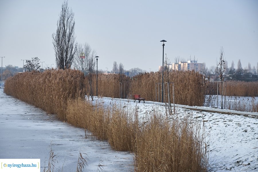 Téli csendélet a Bujtoson