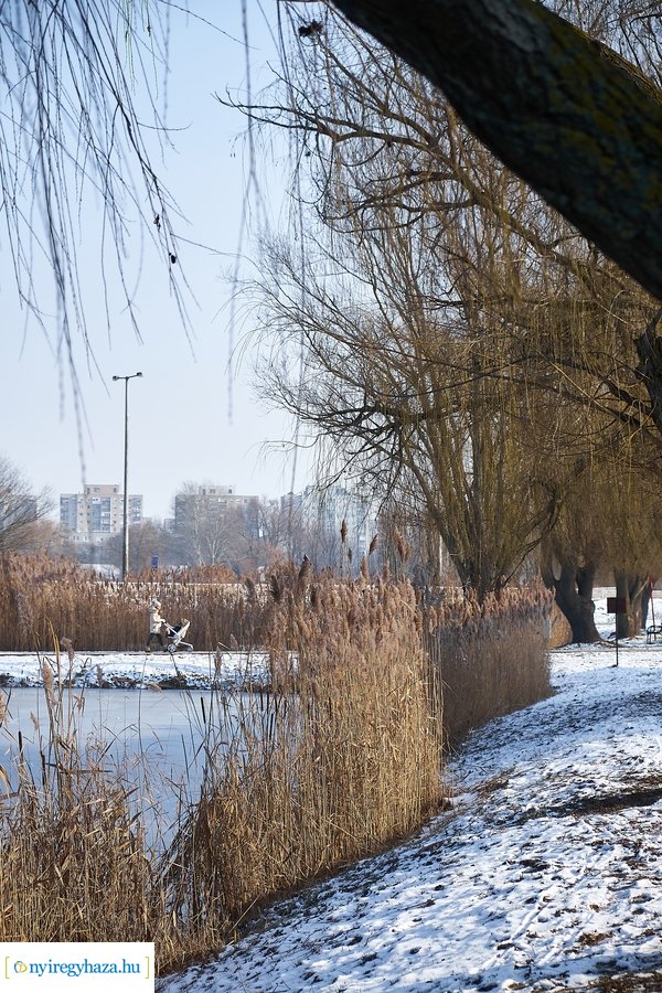 Téli csendélet a Bujtoson