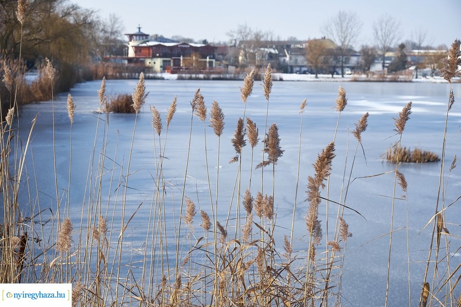 Téli csendélet a Bujtoson