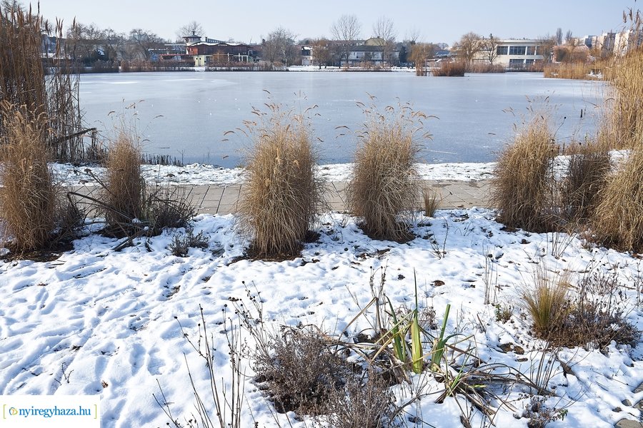 Téli csendélet a Bujtoson