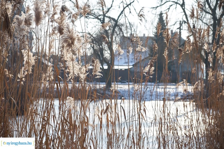 Téli csendélet a Bujtoson