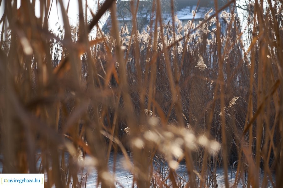 Téli csendélet a Bujtoson