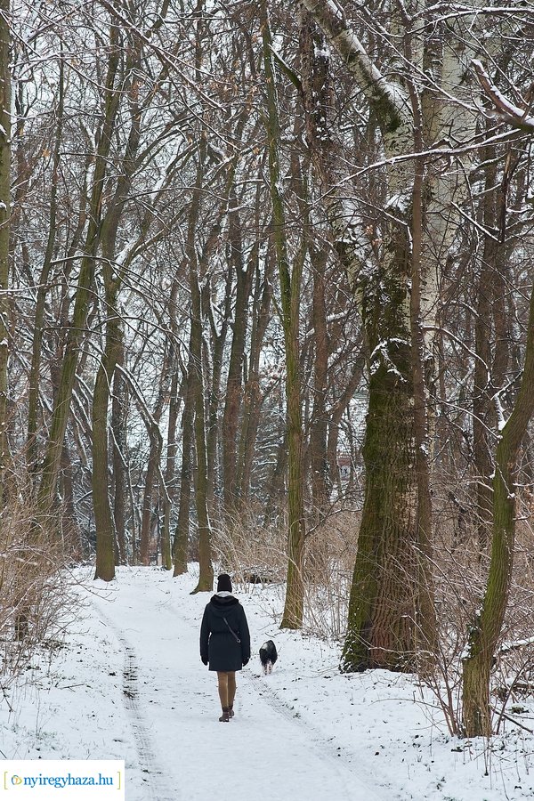 Téli csendélet a Sóstói erdőben 20210114