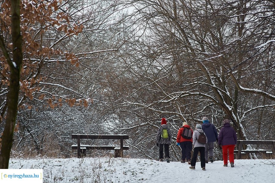 Téli csendélet a Sóstói erdőben 20210114
