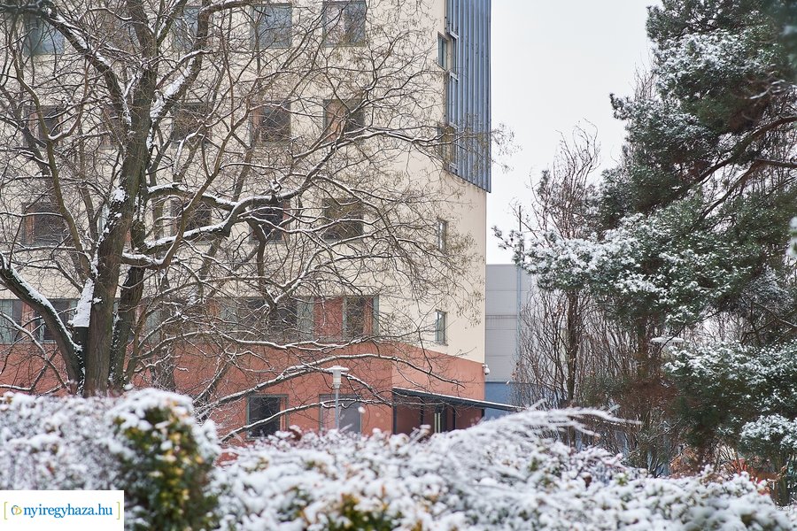 Téli csendélet az egyetemen 20210114