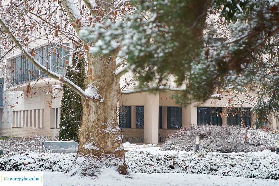 Téli csendélet az egyetemen 20210114