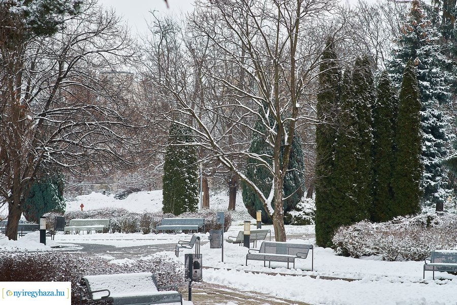 Téli csendélet az egyetemen 20210114