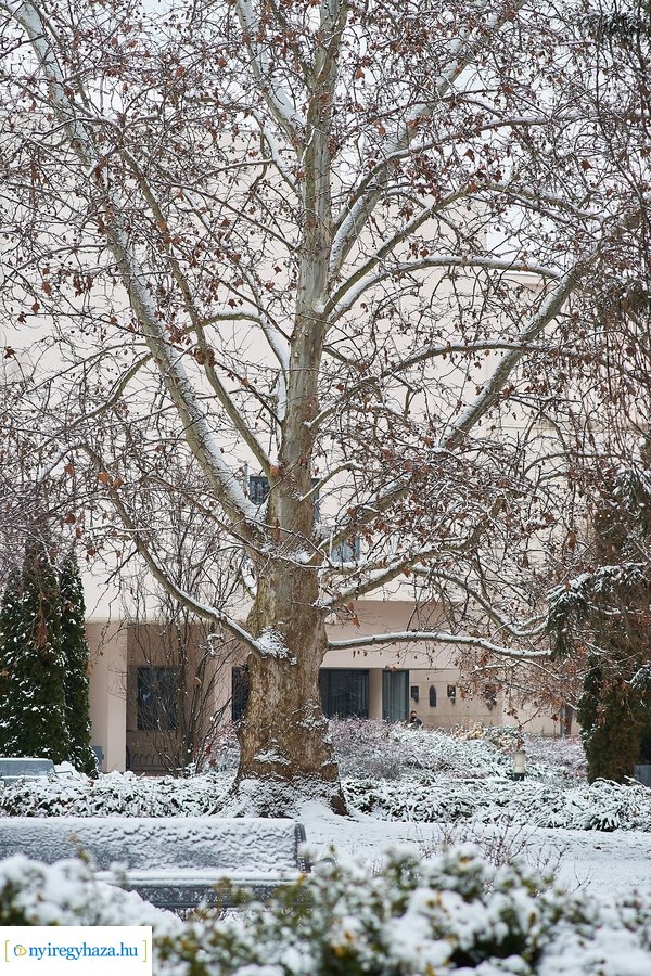 Téli csendélet az egyetemen 20210114