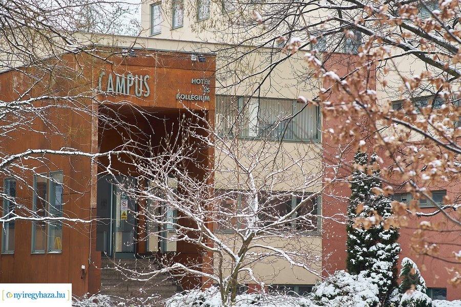 Téli csendélet az egyetemen 20210114