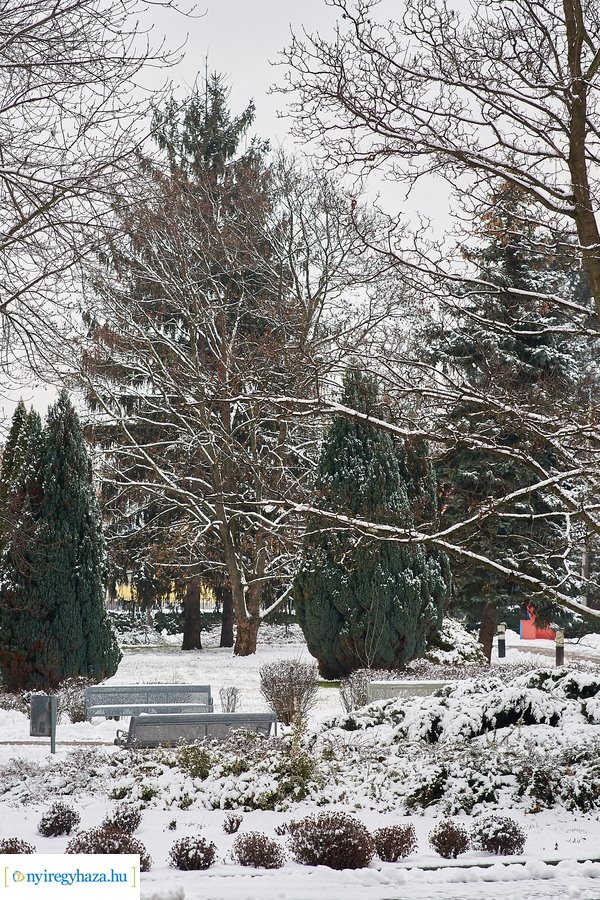 Téli csendélet az egyetemen 20210114