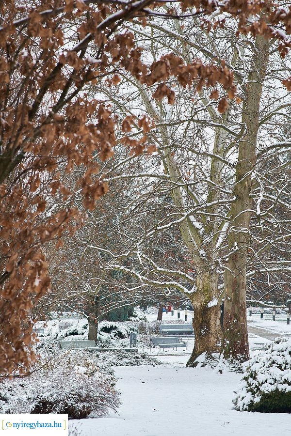 Téli csendélet az egyetemen 20210114