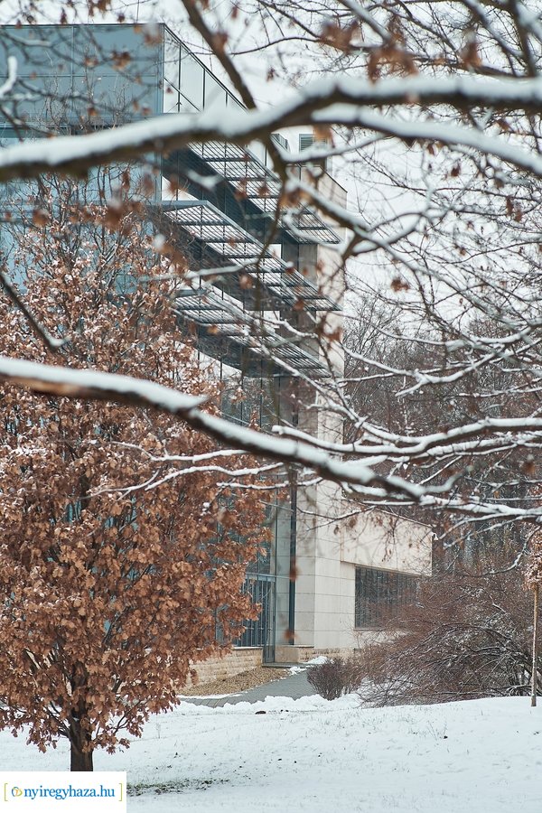 Téli csendélet az egyetemen 20210114