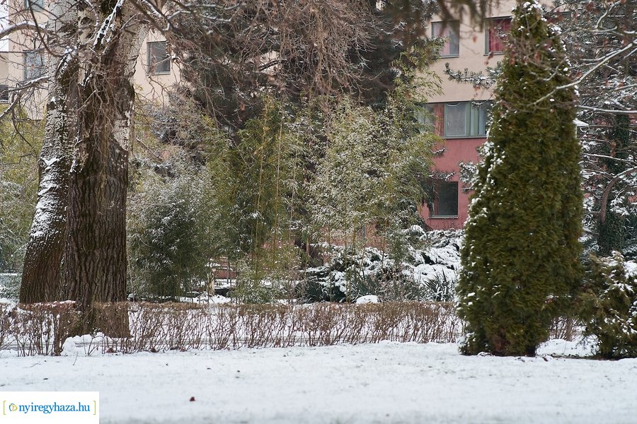 Téli csendélet az egyetemen 20210114