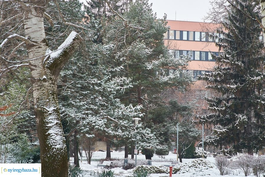 Téli csendélet az egyetemen 20210114