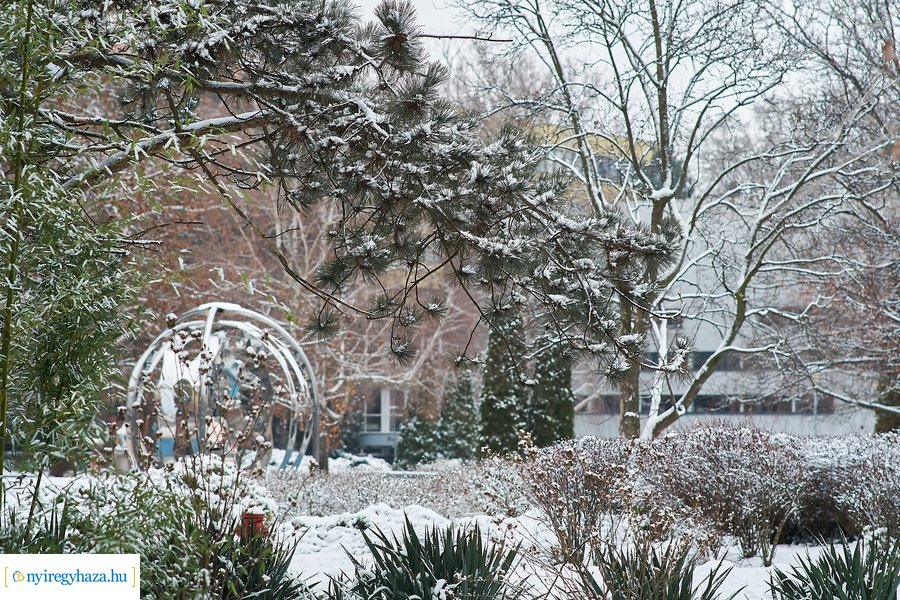 Téli csendélet az egyetemen 20210114