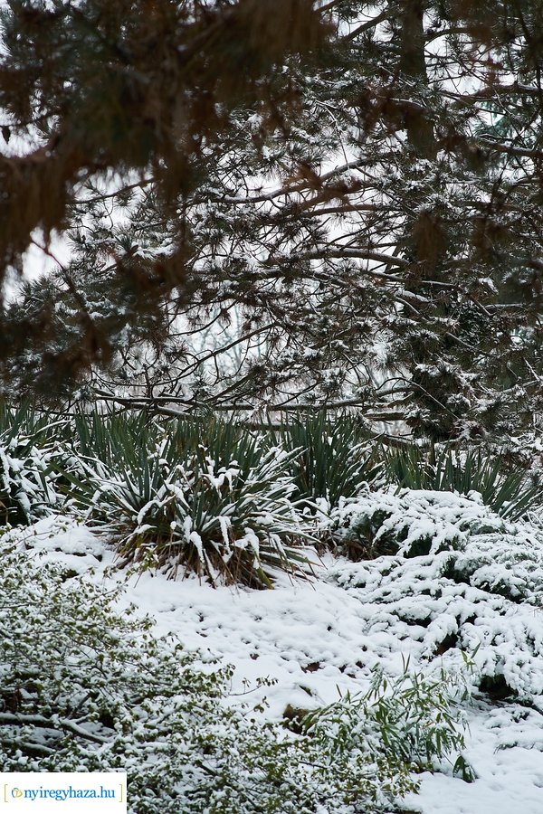 Téli csendélet az egyetemen 20210114