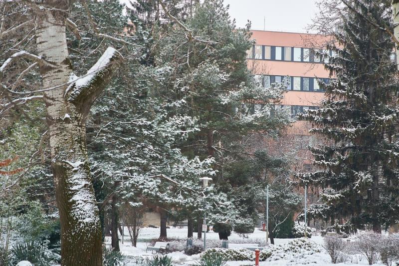 Téli csendélet az egyetemen 20210114