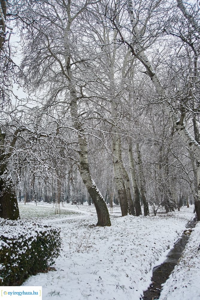 Téli csendéletek 20210218