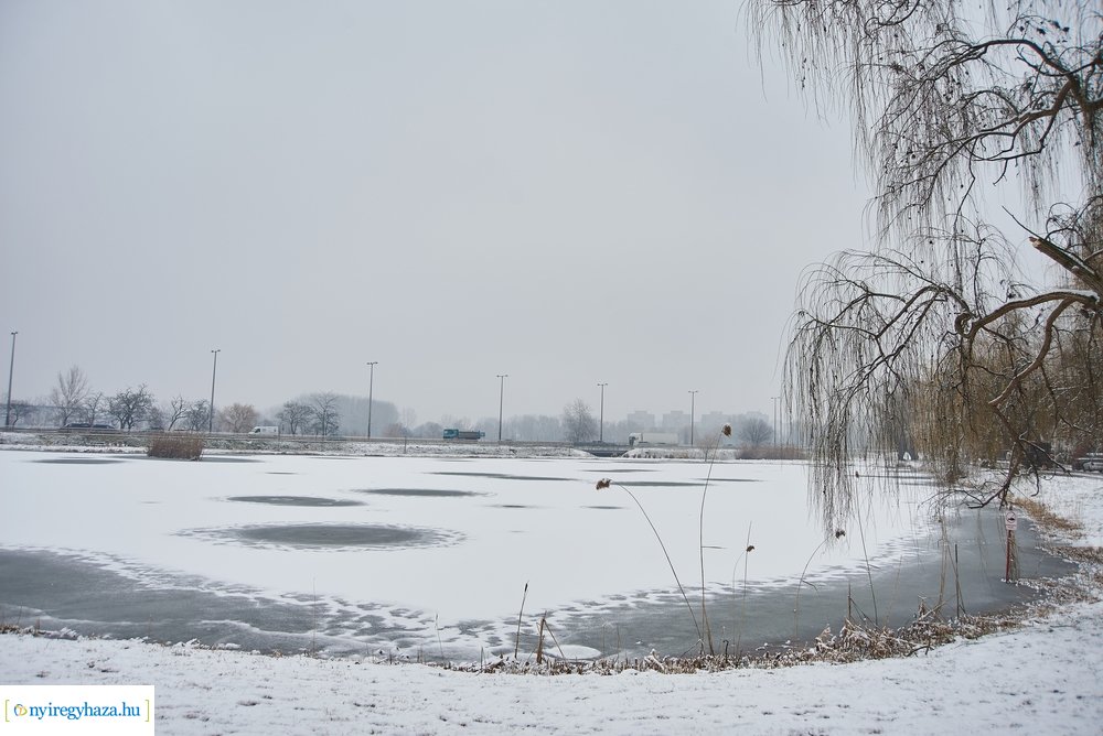 Téli csendéletek 20210218