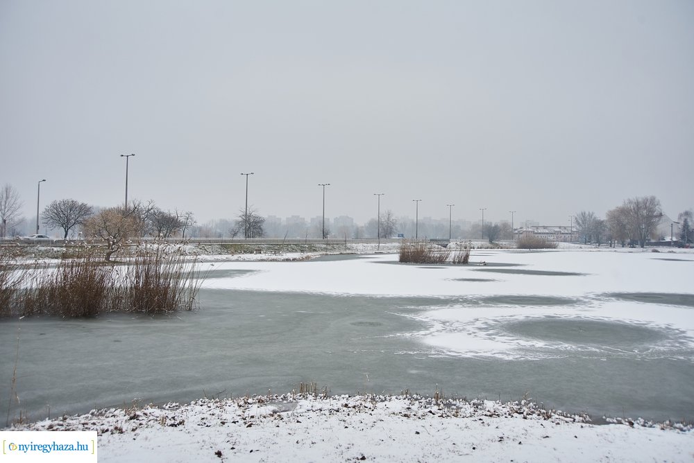 Téli csendéletek 20210218