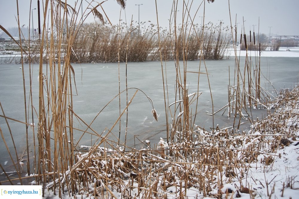 Téli csendéletek 20210218