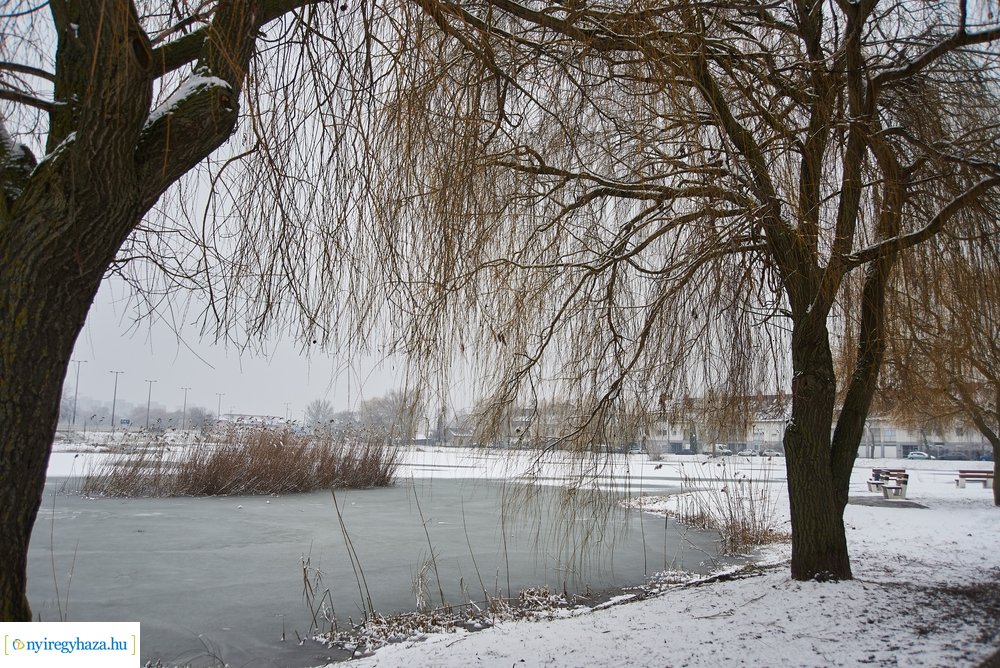 Téli csendéletek 20210218