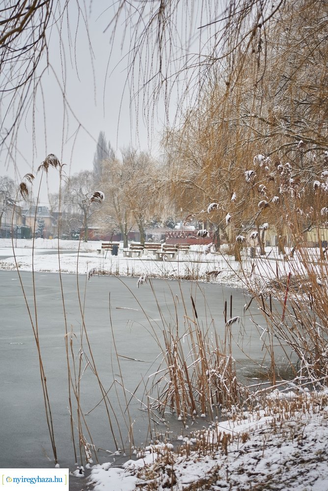 Téli csendéletek 20210218