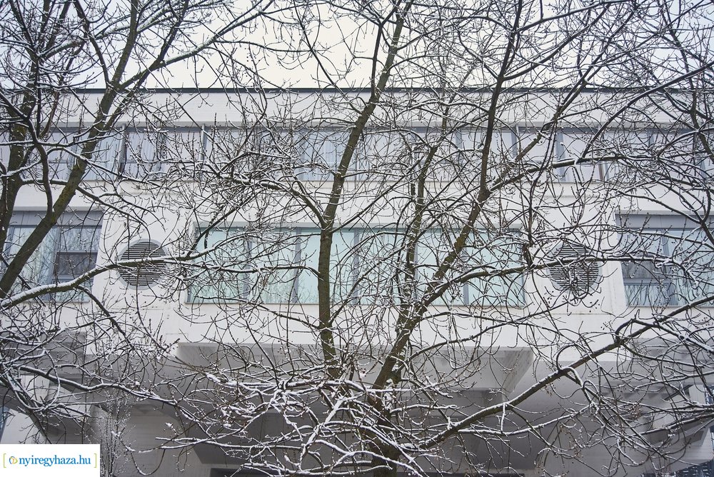 Téli csendéletek 20210218