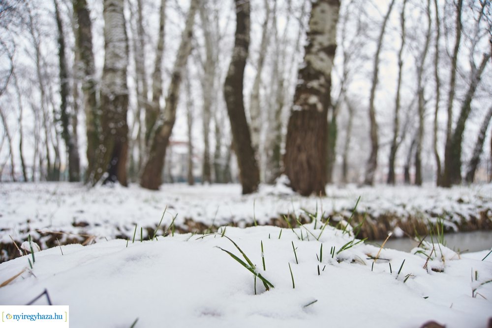 Téli csendéletek 20210218