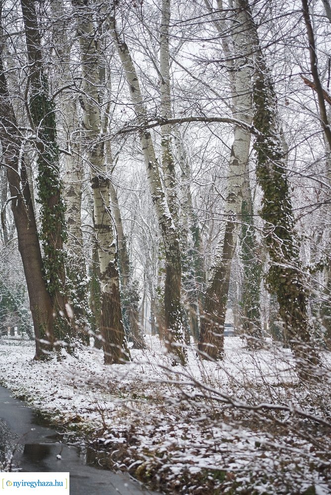 Téli csendéletek 20210218