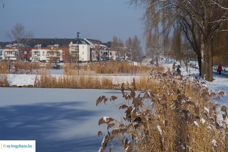 Téli séta a Bujtosi Városligetben 20220109